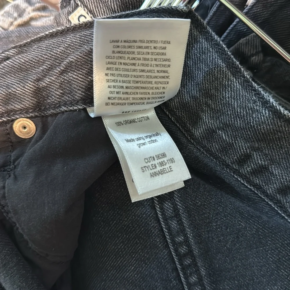 Citizens of Humanity black denim short